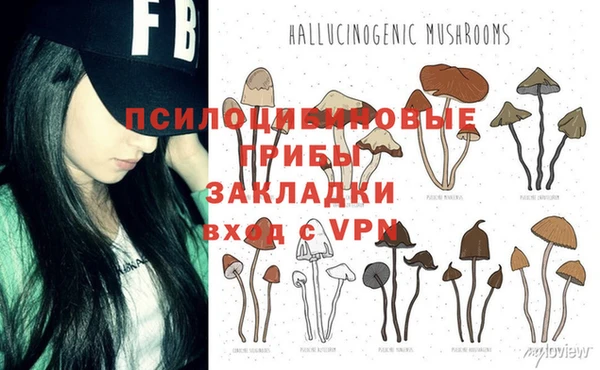 таблы Алексеевка