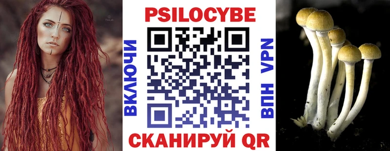 Галлюциногенные грибы Cubensis  Задонск 